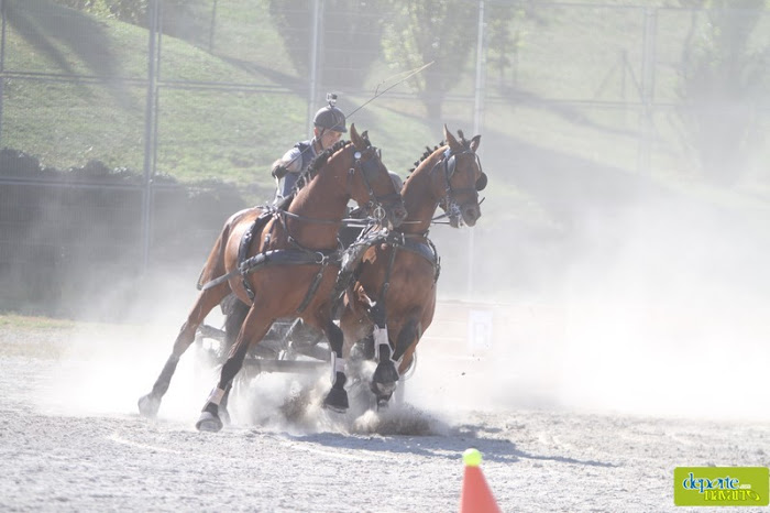 Exhibición de Enganches en el XXII Día del Deporte